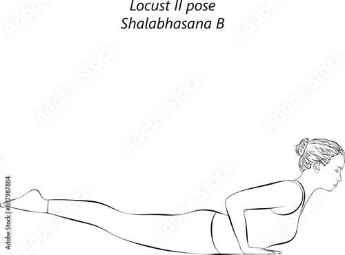 Sketch of young woman practicing Shalabhasana B yoga pose. Locust II pose. Intermediate Difficulty. Isolated vector illustration.