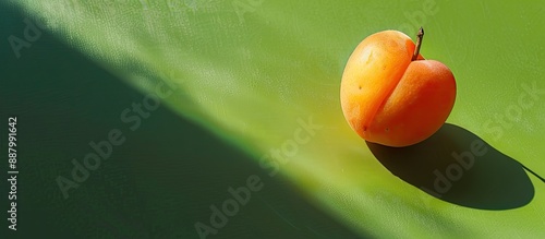 Vibrant and artistic summer fruit layout an unattractive apricot casting a heart shaped shadow on a bright green backdrop in a minimalist style perfect for a copy space image photo