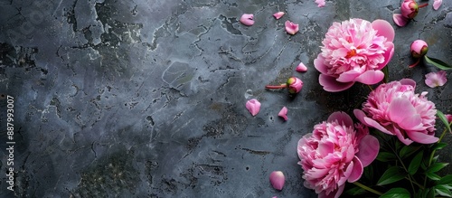 Fototapeta Naklejka Na Ścianę i Meble -  Pink peony flowers displayed elegantly on a stone backdrop with copy space image