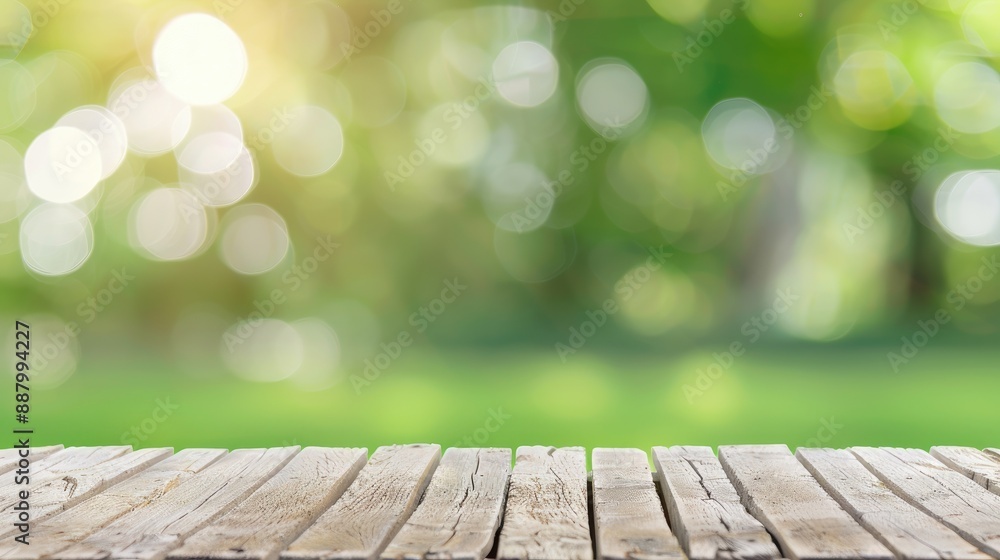 Wooden Bench Amidst Serene Grassy Lawn with Unique Textures and Age Hints Wooden Bench Amidst Serene Grassy Lawn with Unique Textures and Age Hints