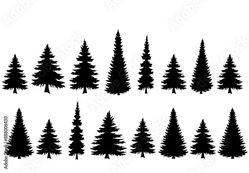 set of trees fir