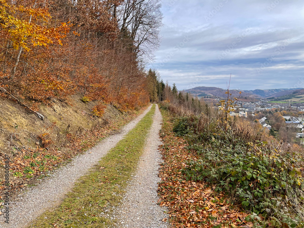 Fototapeta premium autumn in the mountains