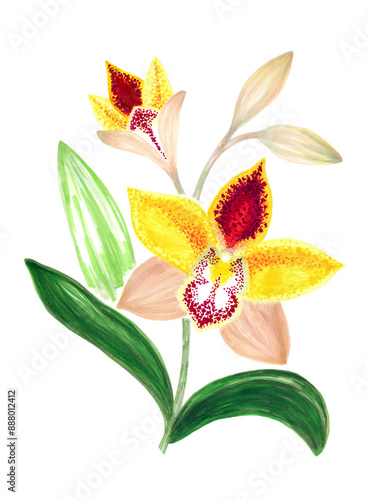 Bright bouquet of phalaenopsis orchids with leaves and bud. Hand drawing with markers.