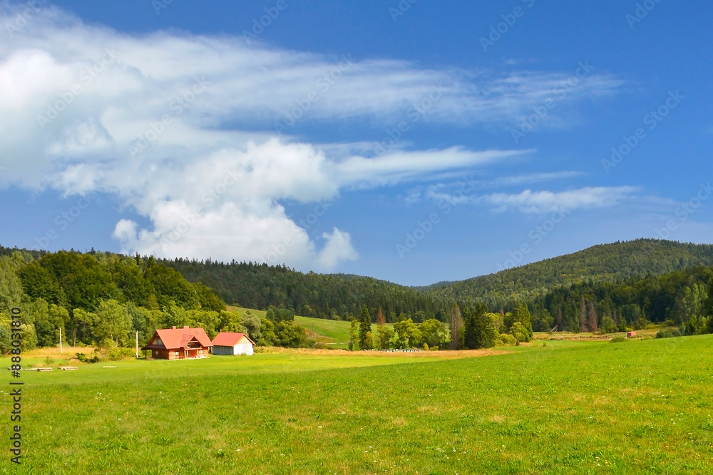 Obraz premium Rural landscape with field, trees, grass and mountains in the background. Ecologically clean area with blue sky and clouds. Beskids mountains in the summer, Poland.