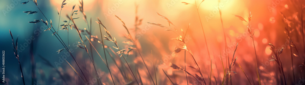 Obraz premium wildgrass at sunrise with blurred background, created with generative AI technology
