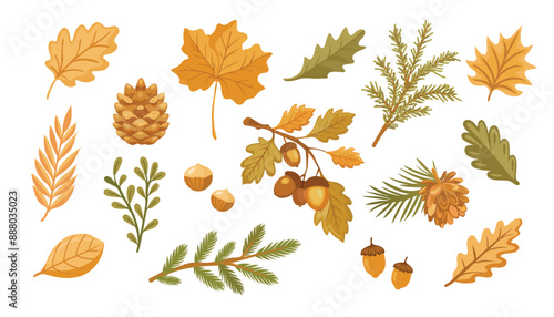 Set of autumn leaves, branches, acorns and cones. Forest nature orange leafage and september red leaves. Chestnut, dog rose and viburnum or foliage leaf. Vector illustration