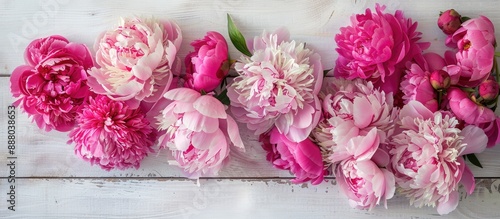 An elegant arrangement of pink peonies displayed on a white wooden surface creates a captivating copy space image perfect for occasions like International Women s Day or Mother s Day photo