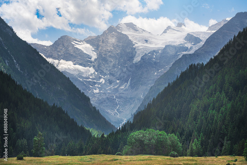 Gran Paradiso massif and fir tree forest in Valnontey. Cogne, Aosta valley, Italy photo