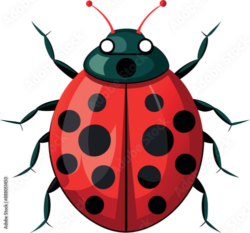 Ladybug  silhouette on a white background