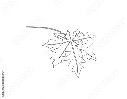 Continuous one line drawing of papaya leaf. Single line drawing illustration of tropical papaya leaf plant. Tropical leaves concept line art. Editable outline