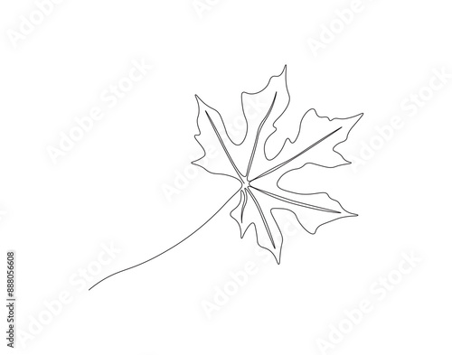 Continuous one line drawing of papaya leaf. Single line drawing illustration of tropical papaya leaf plant. Tropical leaves concept line art. Editable outline