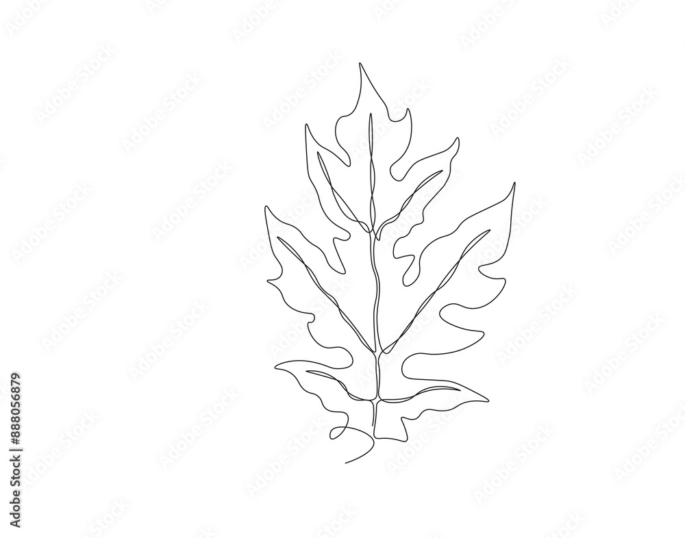 Fototapeta premium Continuous one line drawing of papaya leaf. Single line drawing illustration of tropical papaya leaf plant. Tropical leaves concept line art. Editable outline