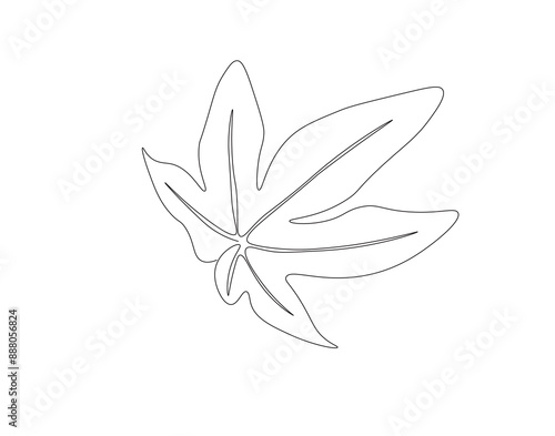 Continuous one line drawing of papaya leaf. Single line drawing illustration of tropical papaya leaf plant. Tropical leaves concept line art. Editable outline