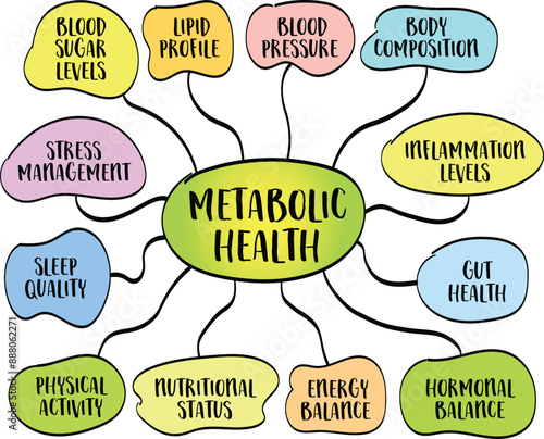 components and factors affecting metabolic health, vector infographics mind map sketch