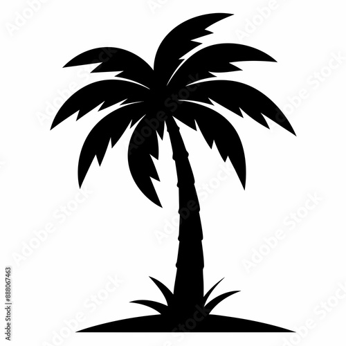 Coconut tree  Silhouette vector illustration