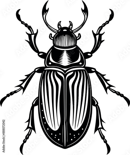 Beetle silhouette 