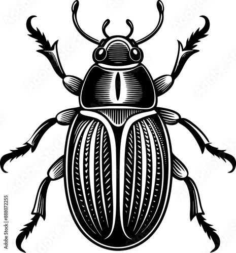 Beetle silhouette 