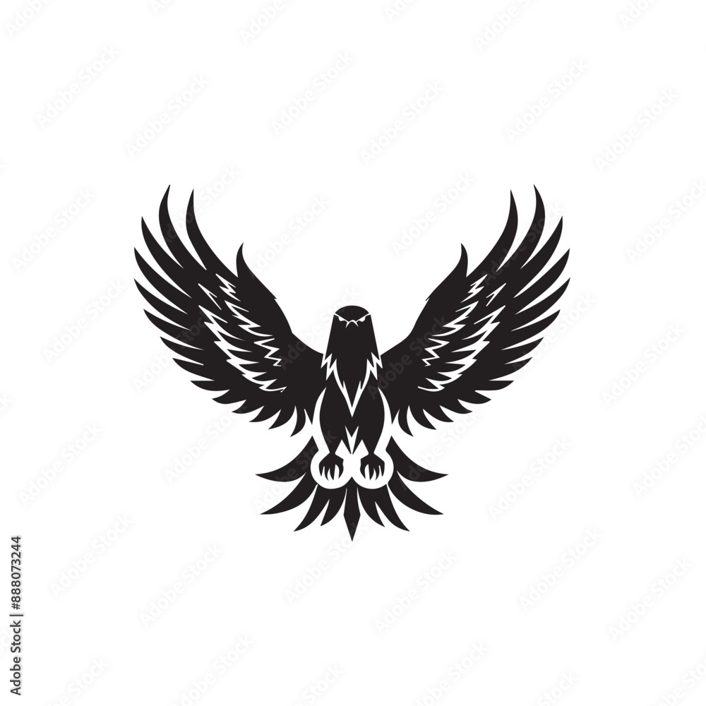 Obraz premium eagle in flight