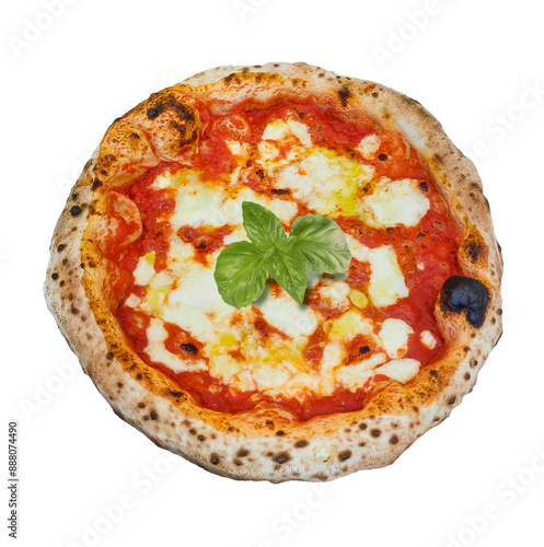 Tasty margherita pizza topped with fresh basil leaves on a transparent background photo