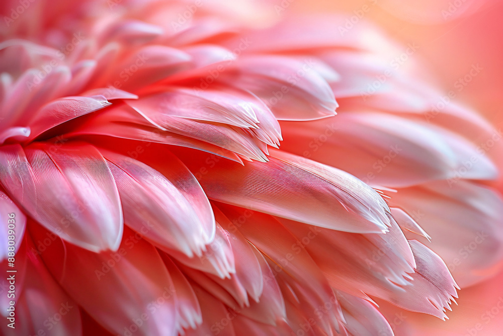 A close-up of flamingo feathers, showcasing the intricate patterns and colors. , stylish in style of double exposure. pink color scheme. A close-up of flamingo feathers, showcasing the intricate patterns and colors. , stylish in style of double exposure. pink color scheme.