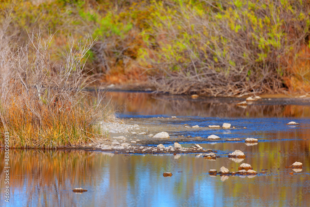 Swamp with a few rocks and some plants in the background. Wild nature calm water Swamp with a few rocks and some plants in the background. Wild nature calm water