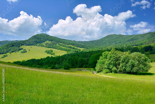 Summer trees and pasture in a beautiful mountain landscape. Summer landscape in Low Beskids, Poland.