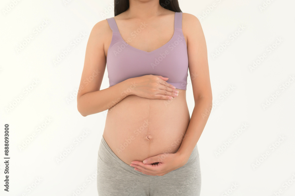 Portrait of Beautiful pregnant woman maternity concept Portrait of Beautiful pregnant woman maternity concept