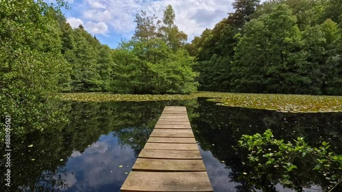 schmaler Holzsteg an einem idyllischen Waldsee mit Bäumen am Ufer und blauem leicht bewölktem Himmel - Romantik, Ruhe, See, Angeln, Ausblick
 photo