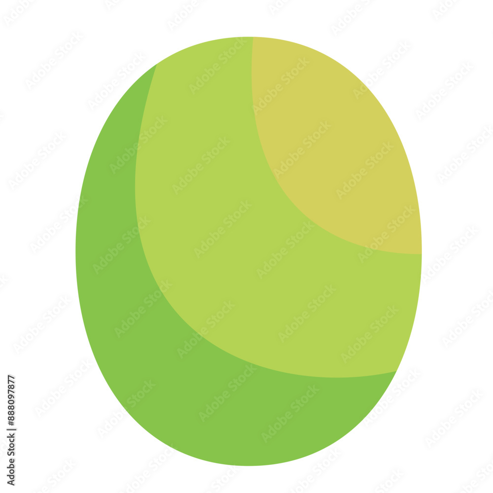 vector kiwi, isolated kiwi fruit illustration