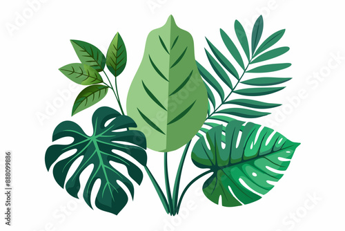 Tropical different types of exotic leaves set. Jungle plants. Calathea, Monstera, and palm leaves. Realistic vector  illustration isolated on a white background