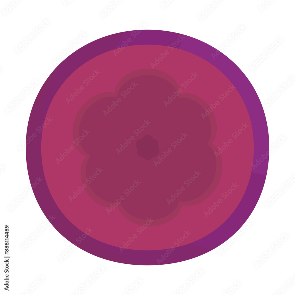 Ripe mangosteen fruit vector illustration Ripe mangosteen fruit vector illustration
