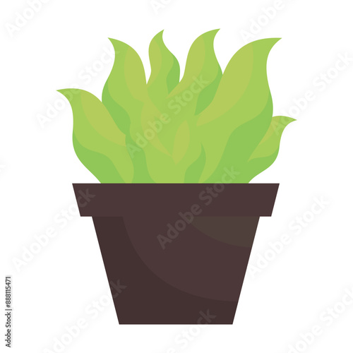 Decorative houseplants and indoor baskets for potted tree city garden vector