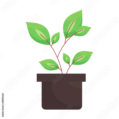 Decorative houseplants and indoor baskets for potted tree city garden vector