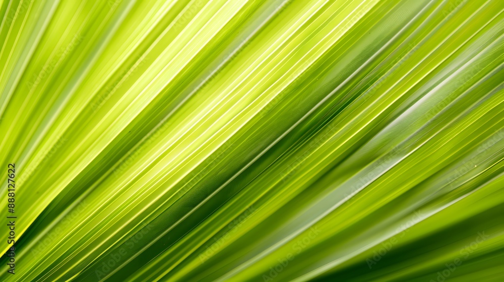 close up leaf close up leaf