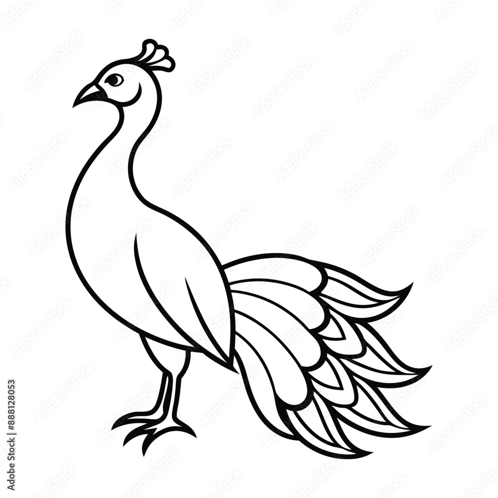 Fototapeta premium Peacock Silhouette Vector Illustration