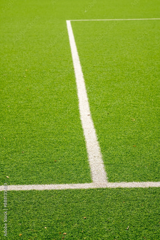 Obraz premium area lines on artificial turf