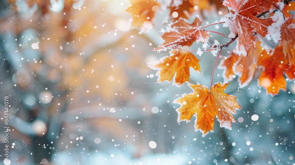 Winter's Embrace on Autumn Leaves Winter's Embrace on Autumn Leaves