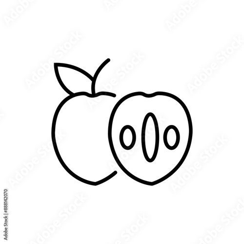 sapodilla black line art icon, illustration.