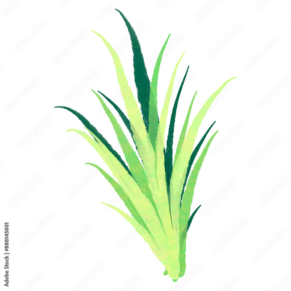 Fototapeta premium Watercolor green grass, nature, leaf