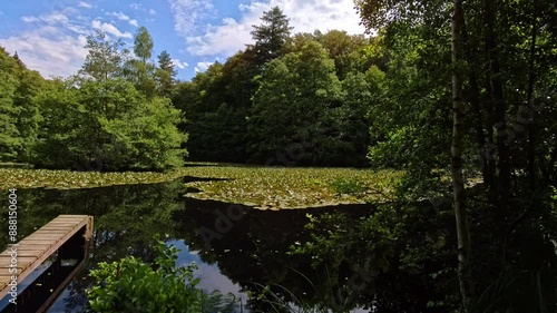 schmaler Holzsteg an einem idyllischen Waldsee mit Bäumen am Ufer und blauem leicht bewölktem Himmel - Romantik, Ruhe, See, Angeln, Ausblick
 photo