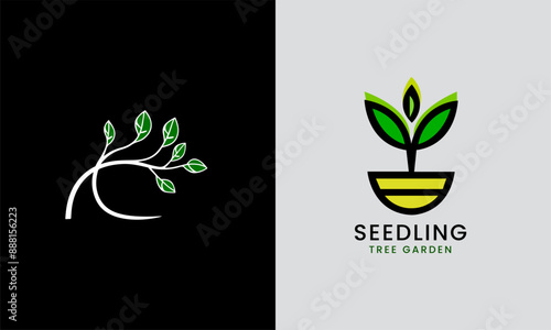 tree saplings, tub plants, seedling trees, tree leaves, flower garden