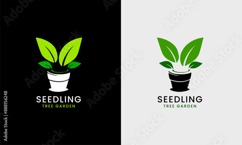 tree saplings, tub plants, seedling trees, tree leaves, flower garden