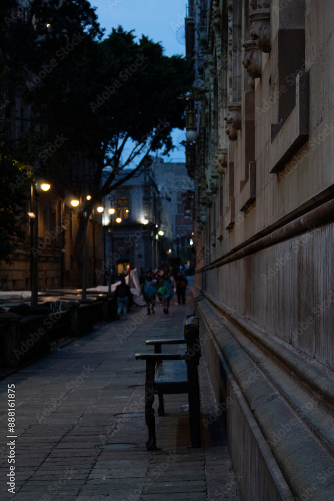 Fototapeta premium Camino solitario