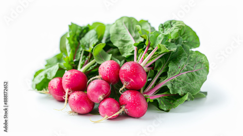 Fresh red radishes with green leaves, isolated on a white background, showcasing their vibrant color and crisp texture.