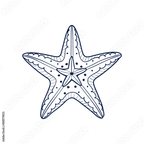 Sea starfish marine life line art