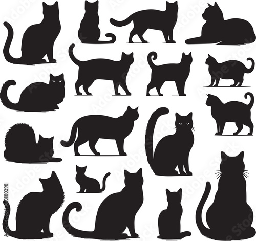 cat silhouette vectors on a white page high quality high resolution, black color isolated on white background