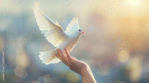 White dove released from hand. Symbol of peace, hope, and new beginnings, a white dove takes flight from a human hand. photo