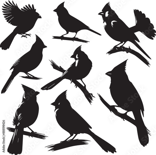 cardinal bird silhouette vectors on a white page high quality high resolution, black color isolated on white background