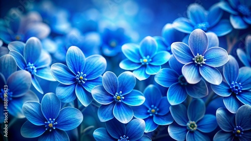 blue flowers in-a blue-background--8k--high-resolution 