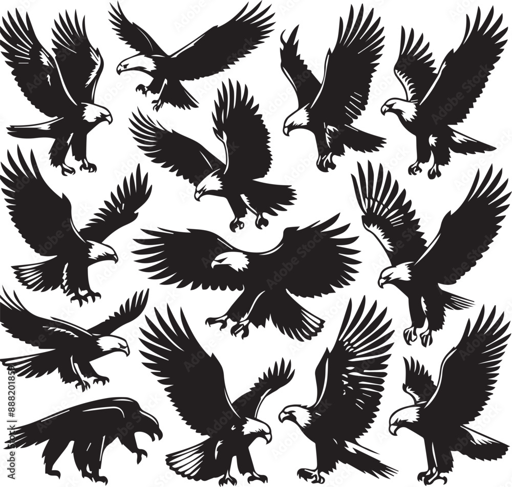 Obraz premium Eagle silhouette vectors on a white page high quality high resolution, black color isolated on white background